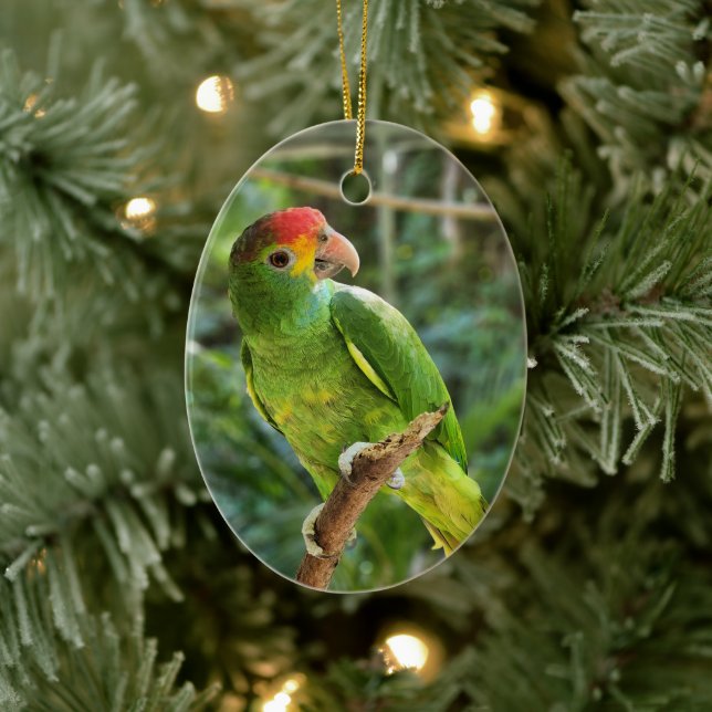 Red Browed Amazon Parrot Ceramic Tree Decoration (Tree)