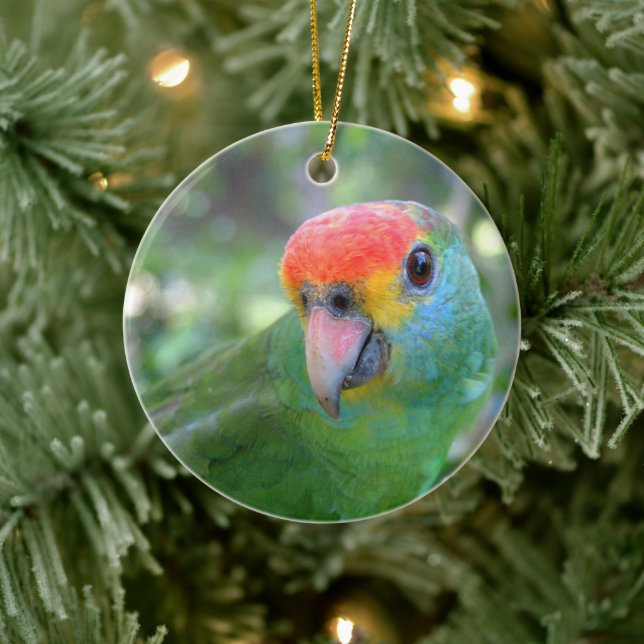Red Browed Amazon Parrot II Ceramic Tree Decoration (Tree)