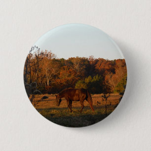 Red Brown horse, autumn woods. 6 Cm Round Badge