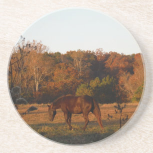 Red Brown horse, autumn woods. Coaster