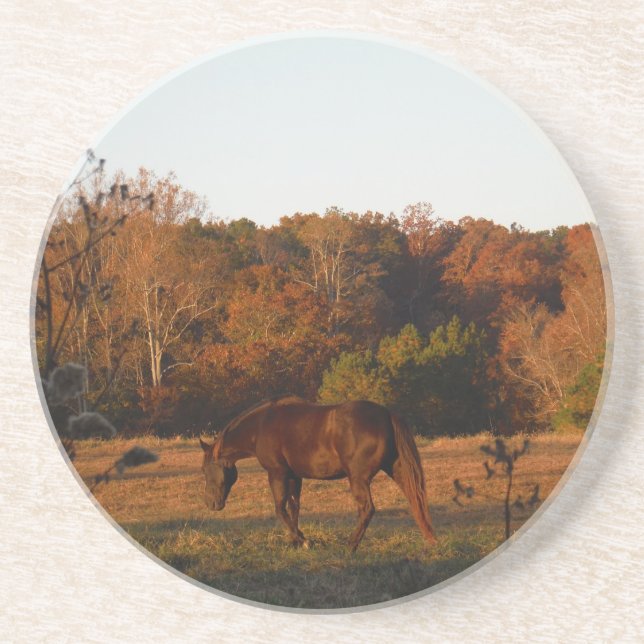 Red  Brown horse, autumn woods. Coaster (Front)