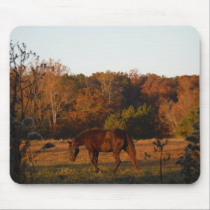Red  Brown horse, autumn woods. Mouse Mat