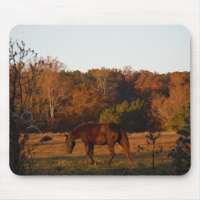 Red  Brown horse, autumn woods. Mouse Mat (Front)