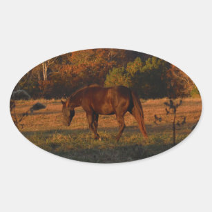 Red  Brown horse, autumn woods. Oval Sticker