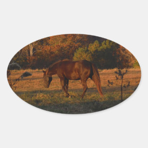 Red  Brown horse, autumn woods. Oval Sticker