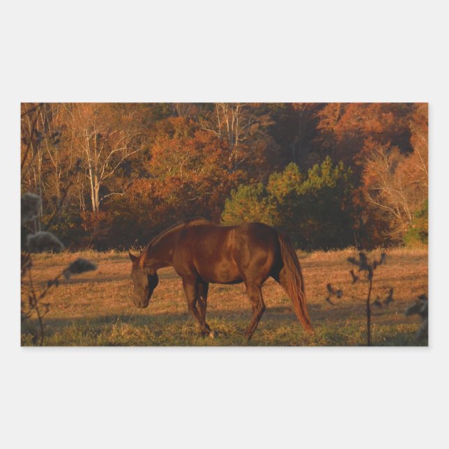 Red  Brown horse, autumn woods. Rectangular Sticker (Front)