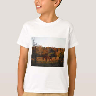 Red Brown horse, autumn woods. T-Shirt