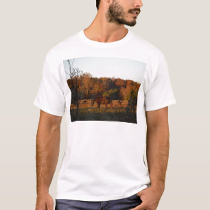 Red Brown horse, autumn woods. T-Shirt