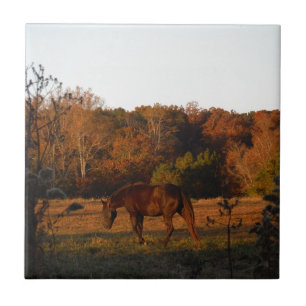 Red  Brown horse, autumn woods. Tile