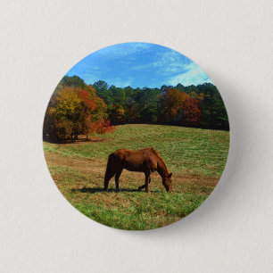 Red Brown horse, fall trees, blue skies 6 Cm Round Badge