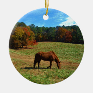 Red Brown horse, fall trees, blue skies Ceramic Tree Decoration