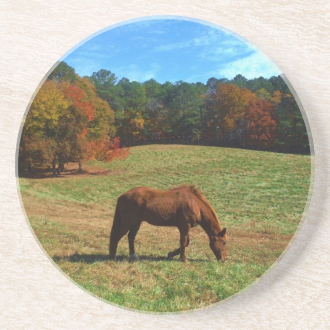 Red Brown horse, fall trees, blue skies Coaster (Front)