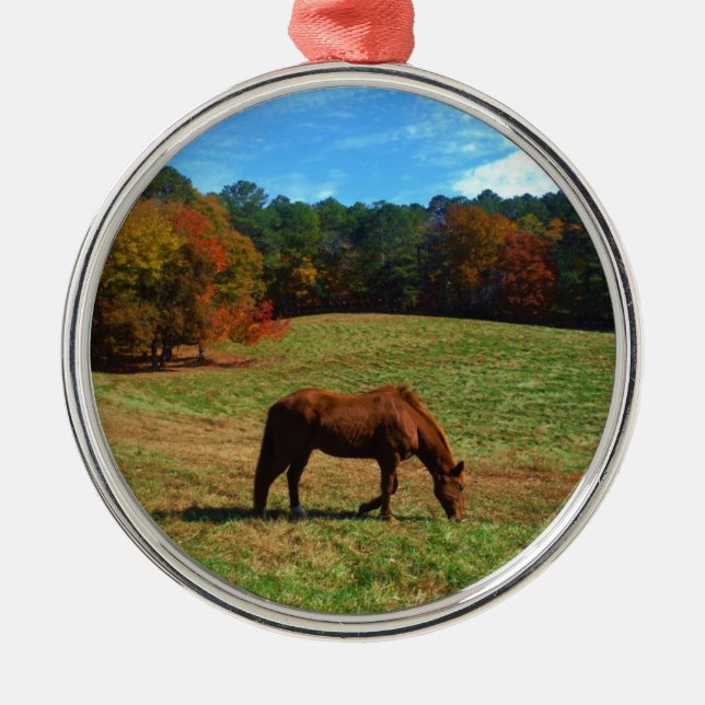 Red Brown horse, fall trees, blue skies Metal Tree Decoration (Front)