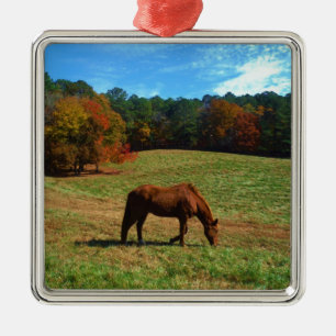 Red Brown horse, fall trees, blue skies Metal Tree Decoration