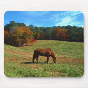 Red Brown horse, fall trees, blue skies Mouse Mat