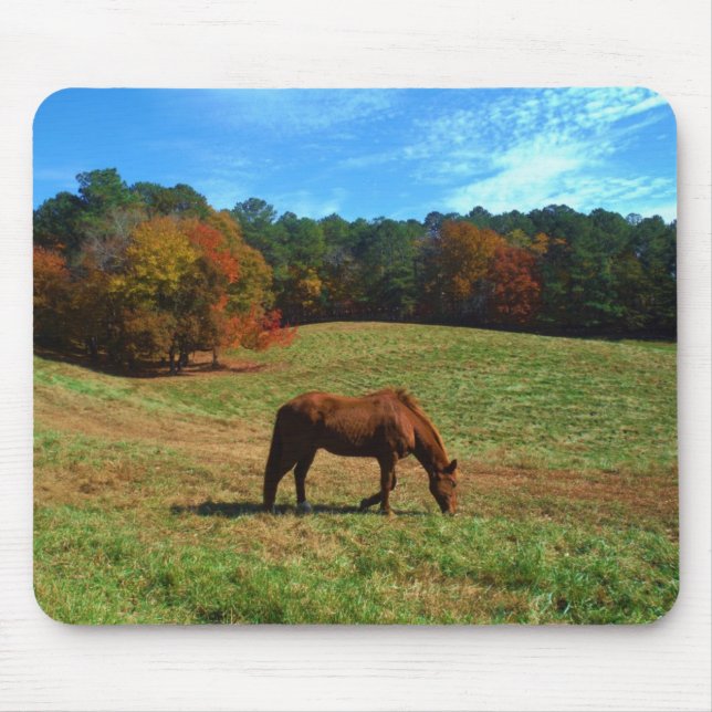Red Brown horse, fall trees, blue skies Mouse Mat (Front)