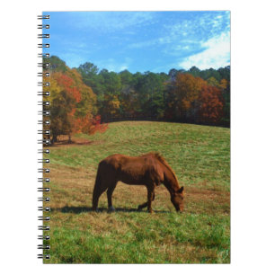 Red Brown horse, fall trees, blue skies Notebook