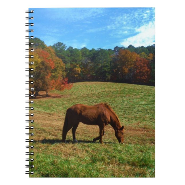 Red Brown horse, fall trees, blue skies Notebook (Front)