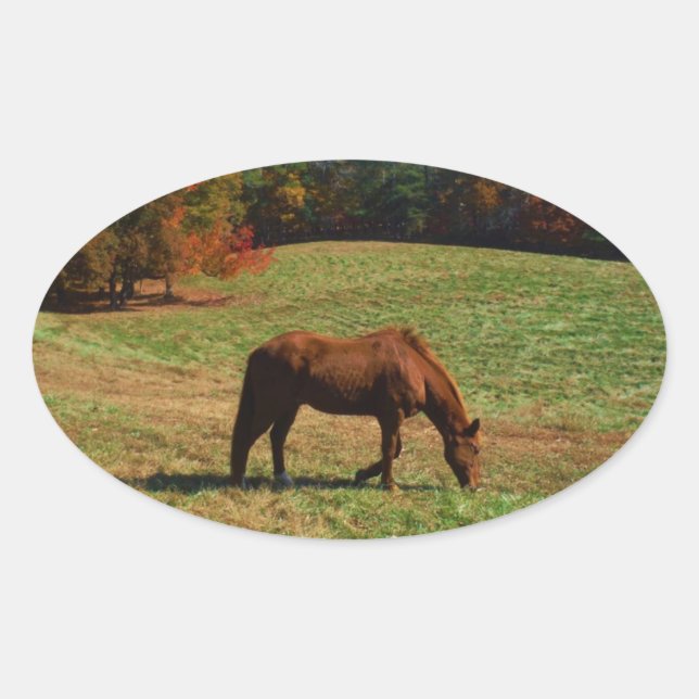 Red Brown horse, fall trees, blue skies Oval Sticker (Front)