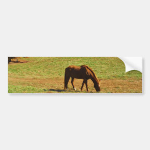 Red Brown horse in the autumn trees Bumper Sticker