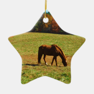 Red Brown horse in the  autumn trees Ceramic Tree Decoration