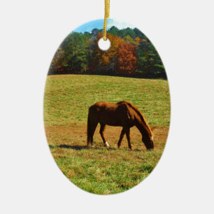 Red Brown horse in the  autumn trees Ceramic Tree Decoration