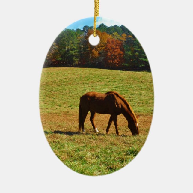 Red Brown horse in the  autumn trees Ceramic Tree Decoration (Front)