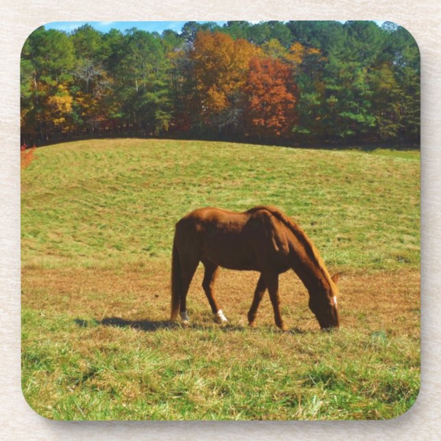 Red Brown horse in the  autumn trees Coaster (Front)