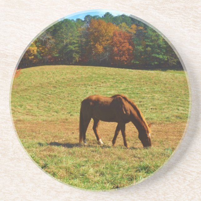 Red Brown horse in the  autumn trees Coaster (Front)