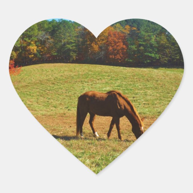 Red Brown horse in the  autumn trees Heart Sticker (Front)