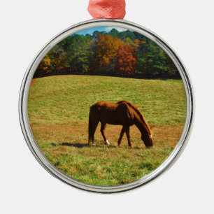 Red Brown horse in the  autumn trees Metal Tree Decoration