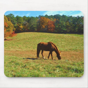 Red Brown horse in the  autumn trees Mouse Mat