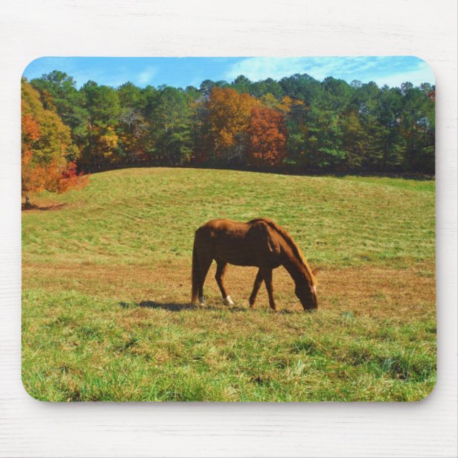 Red Brown horse in the  autumn trees Mouse Mat (Front)