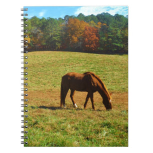 Red Brown horse in the autumn trees Notebook