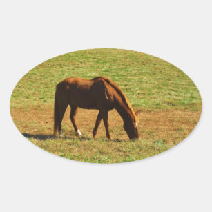 Red Brown horse in the  autumn trees Oval Sticker