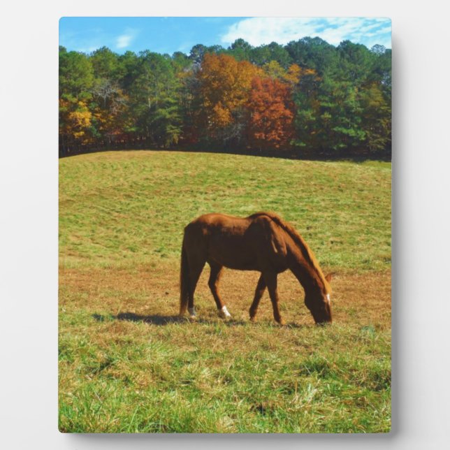 Red Brown horse in the  autumn trees Plaque (Front)