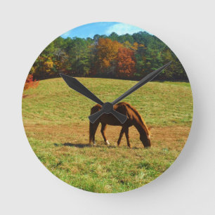 Red Brown horse in the  autumn trees Round Clock