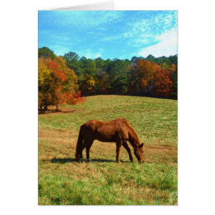 Red Brown horse, Teal Blue sky
