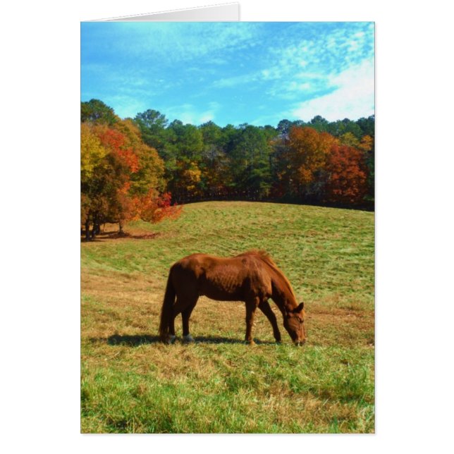 Red  Brown horse, Teal Blue sky (Front)