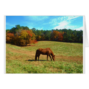 Red Brown horse, Teal Blue sky