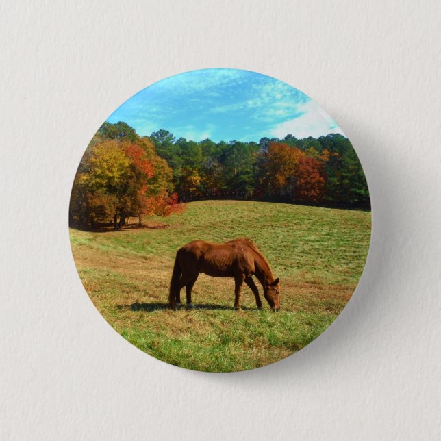 Red  Brown horse, Teal Blue sky 6 Cm Round Badge (Front)