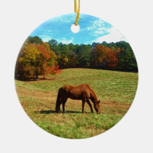 Red  Brown horse, Teal Blue sky Ceramic Tree Decoration