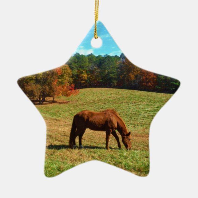 Red  Brown horse, Teal Blue sky Ceramic Tree Decoration (Front)
