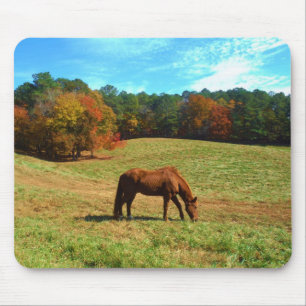 Red  Brown horse, Teal Blue sky Mouse Mat
