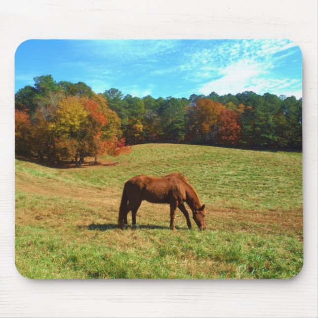Red  Brown horse, Teal Blue sky Mouse Mat (Front)