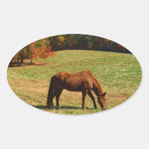 Red  Brown horse, Teal Blue sky Oval Sticker