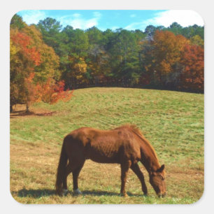 Red Brown horse, Teal Blue sky Square Sticker