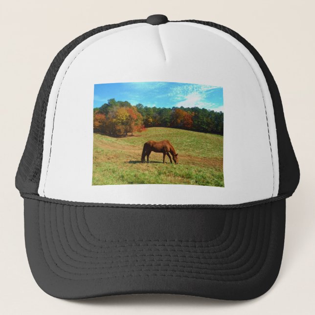 Red  Brown horse, Teal Blue sky Trucker Hat (Front)