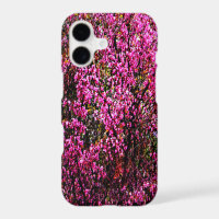 Red bud flowers......