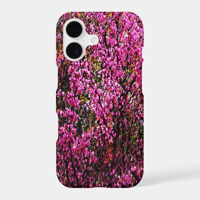 Red bud flowers...... (Back)